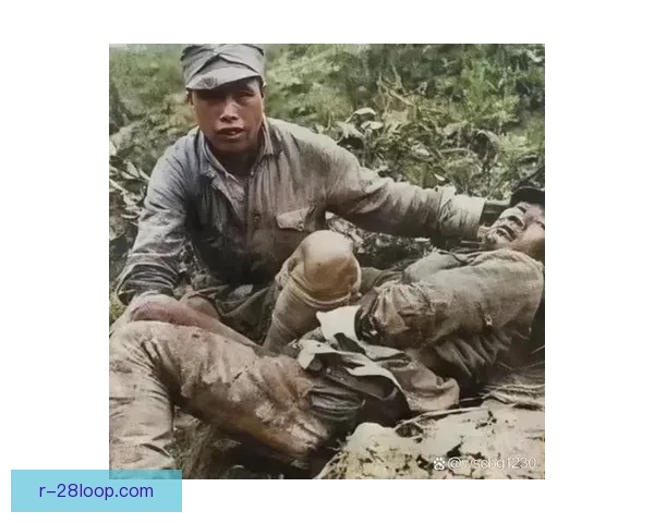 曼丹达老当益壮坚守雷恩城门彰显不屈精神传奇故事 曼丹达老当益壮坚守雷恩城门彰显不屈精神传奇故事